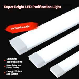 led purification light