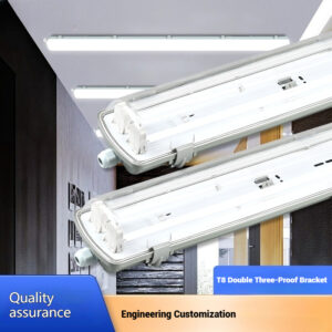 LED Double Dustproof fixture