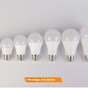 LED BULB