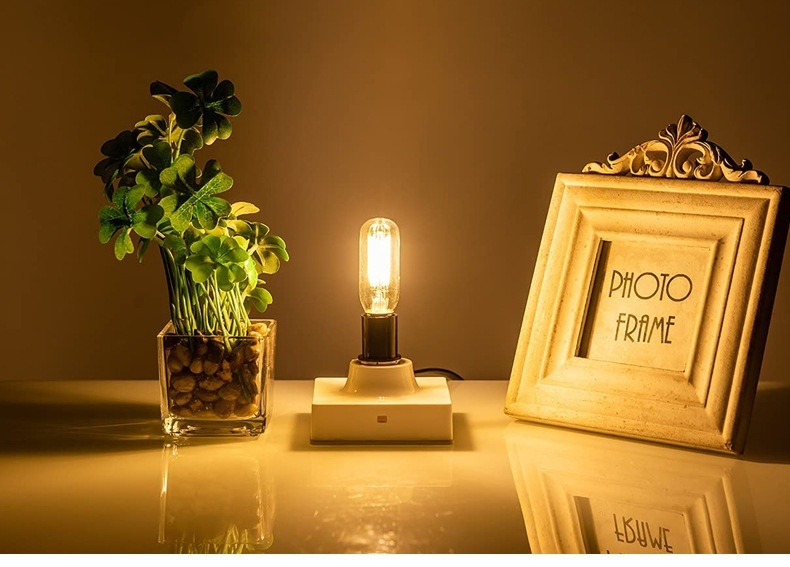 T25 Mini Tube LED Edison Vintage Filament Bulb