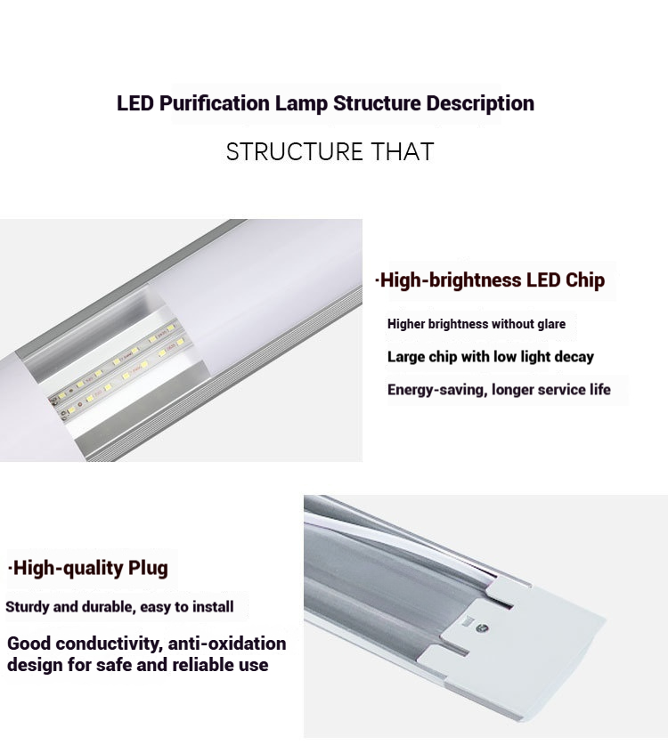 led purification light