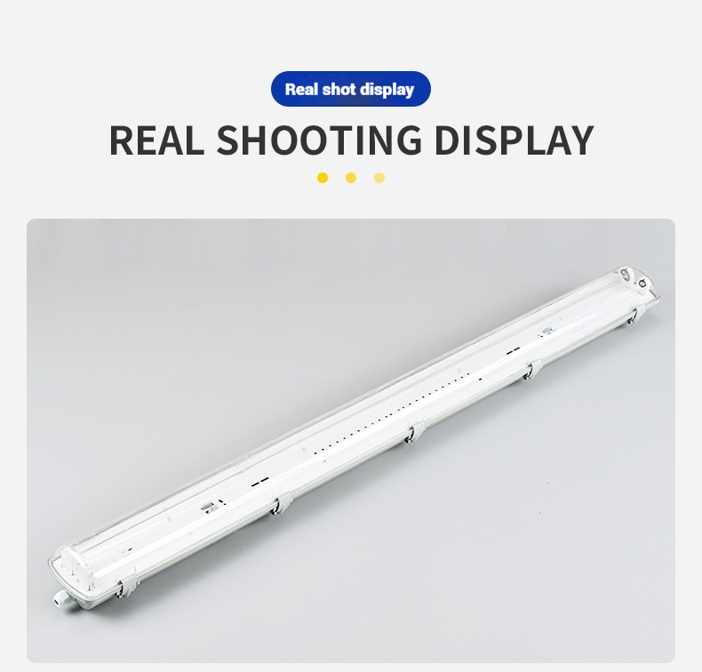 LED Double Dustproof fixture