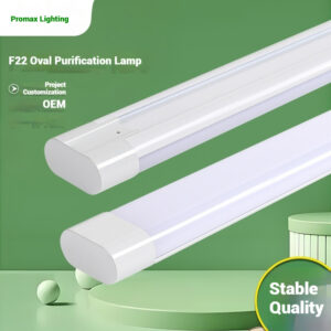 LED Iron Oval purification Light